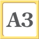 A3