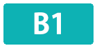 B1